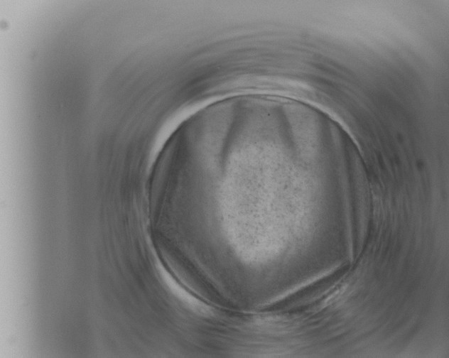 X0000074341531200609082044