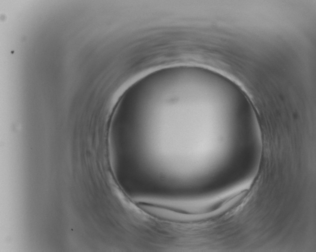 X0000074341534200609082044