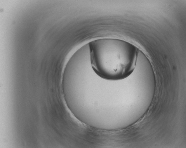 X0000074341536200609082044