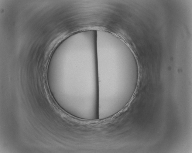 X0000074340001200609152134