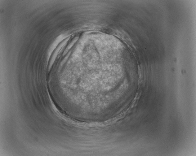 X0000074340003200609152133