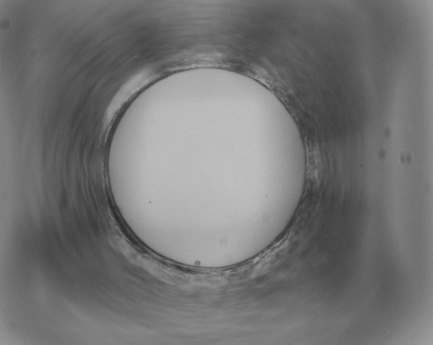 X0000074340004200609152133