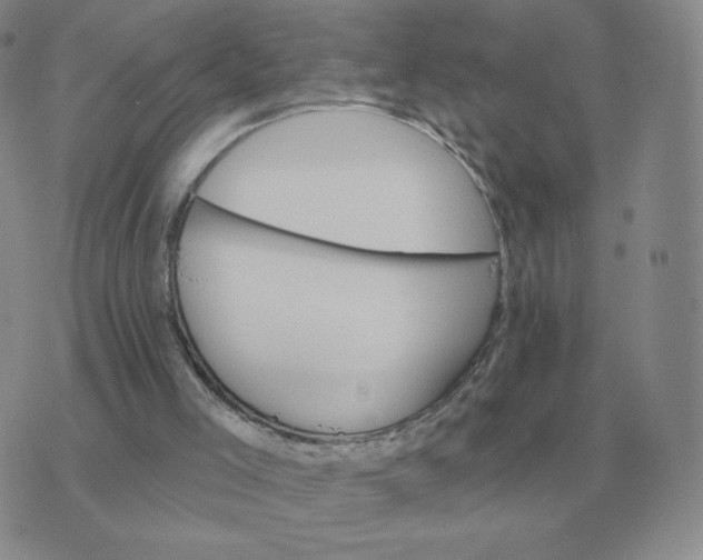 X0000074340005200609152133