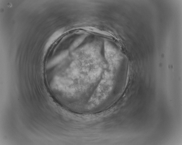 X0000074340006200609152133