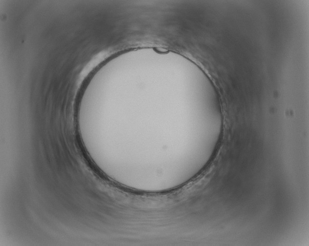 X0000074340008200609152133