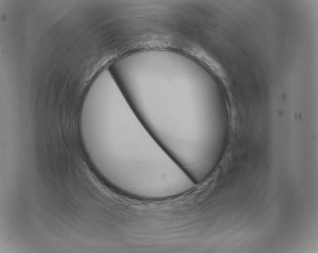 X0000074340009200609152133