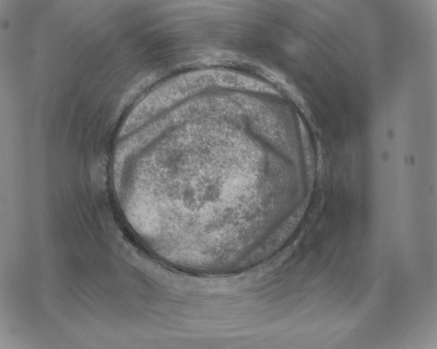 X0000074340010200609152133