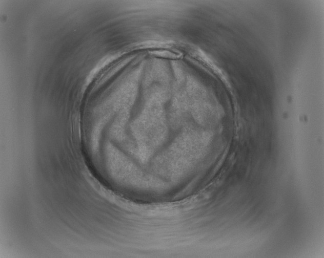 X0000074340011200609152133