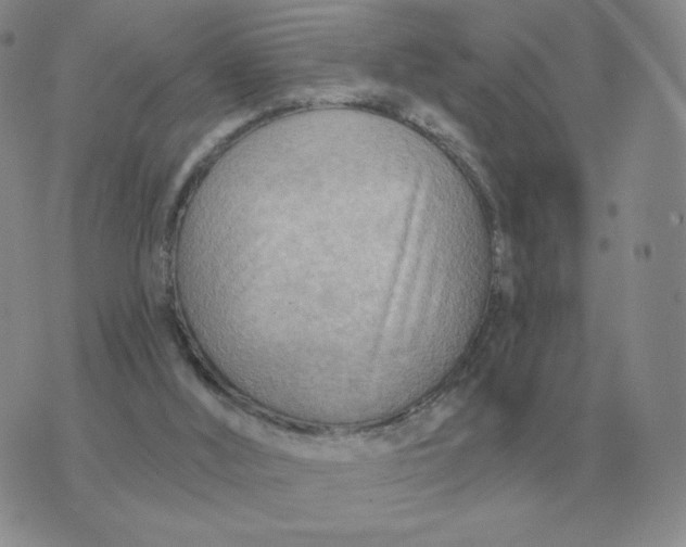 X0000074340012200609152133