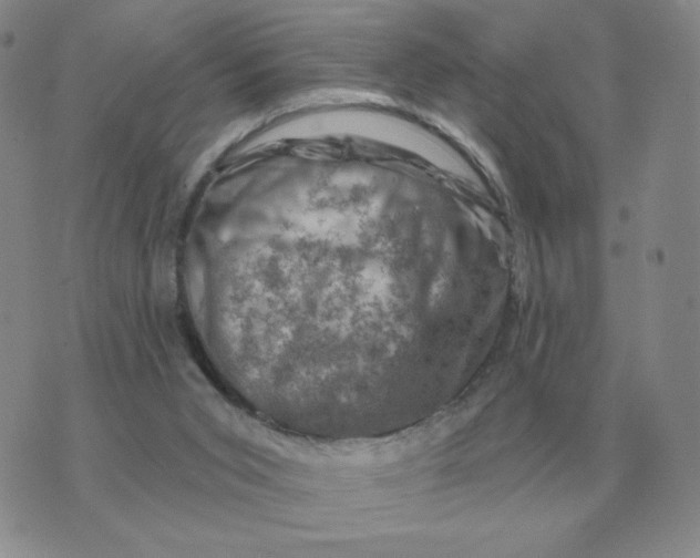 X0000074340015200609152133