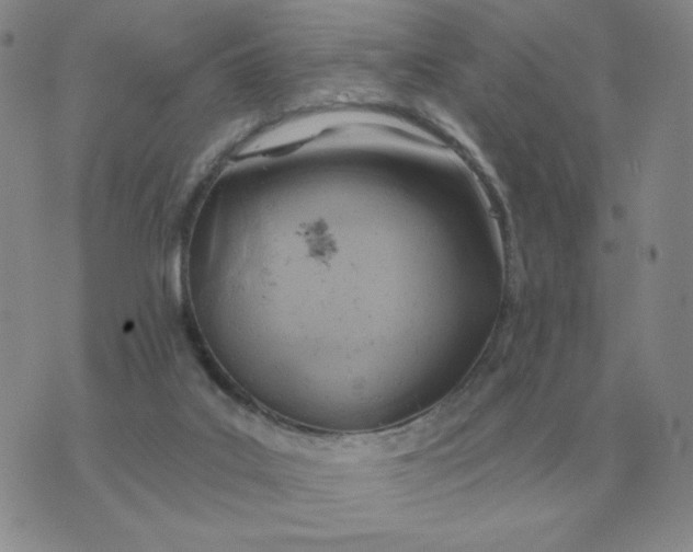 X0000074340019200609152133