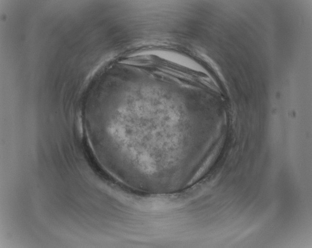 X0000074340020200609152133