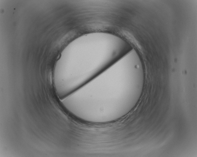 X0000074340021200609152133