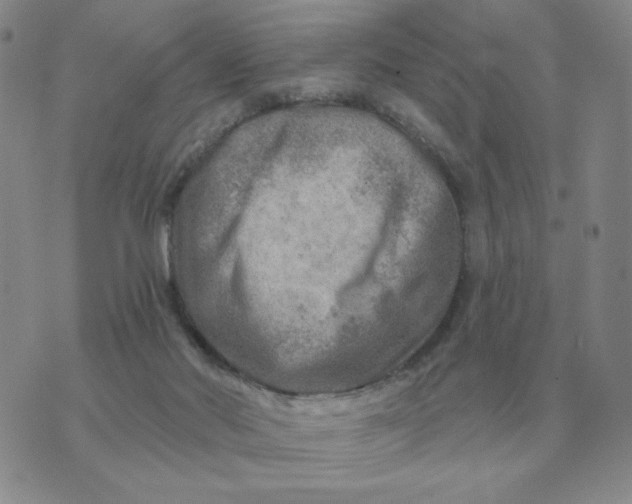 X0000074340022200609152133