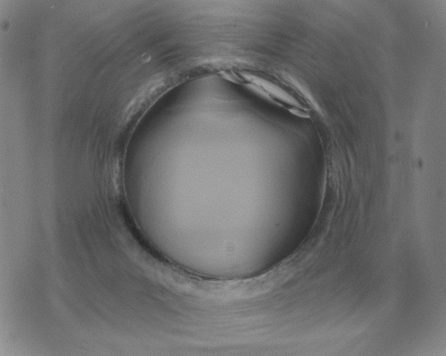 X0000074340023200609152133