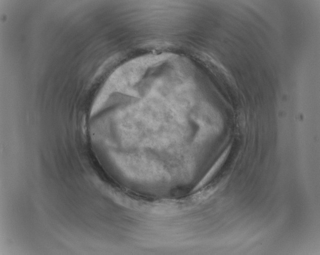 X0000074340024200609152133