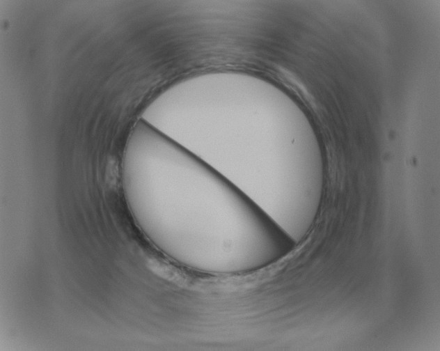 X0000074340025200609152133