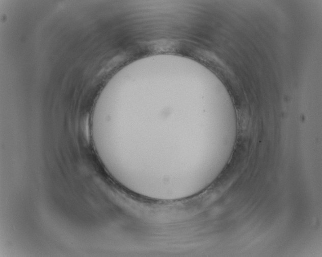 X0000074340028200609152133