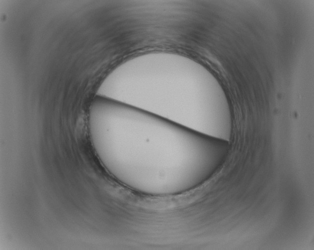 X0000074340029200609152133