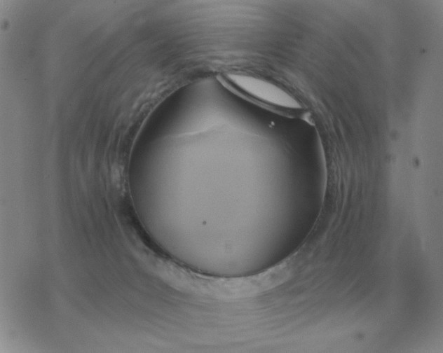 X0000074340031200609152133