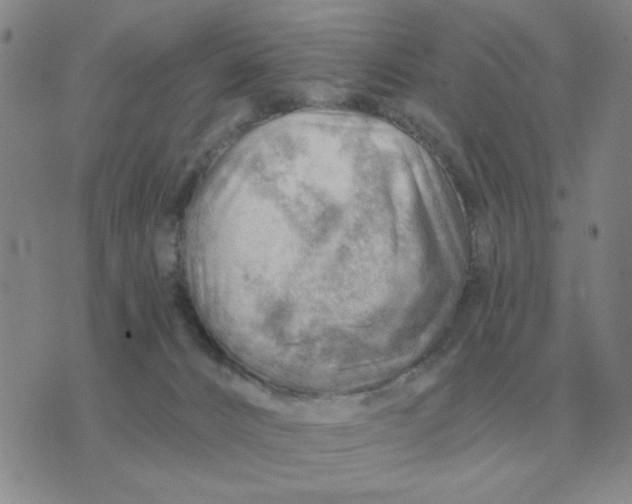 X0000074340032200609152133