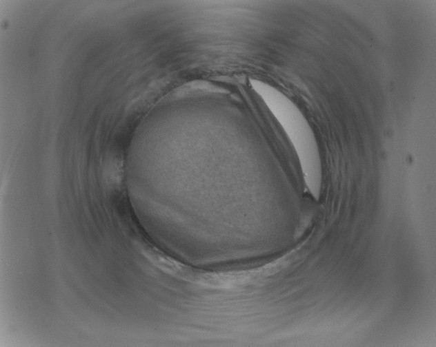 X0000074340033200609152133