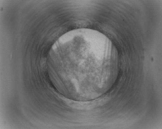 X0000074340034200609152133