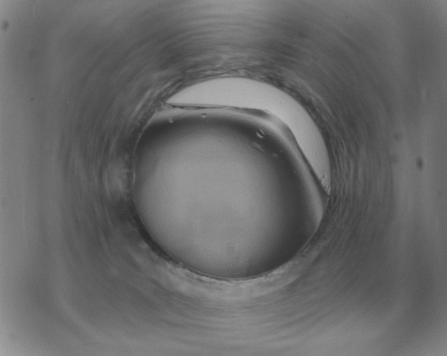 X0000074340035200609152133