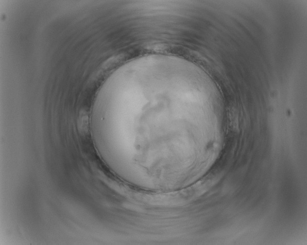 X0000074340036200609152133