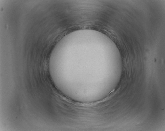 X0000074340037200609152133