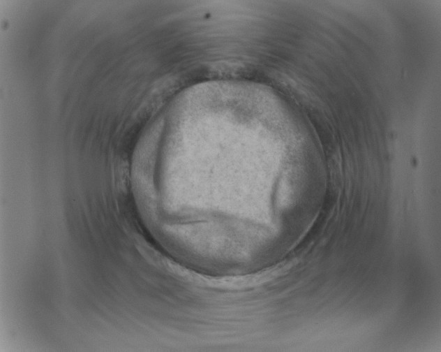 X0000074340038200609152133