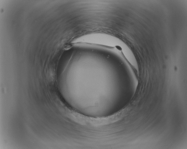 X0000074340039200609152133