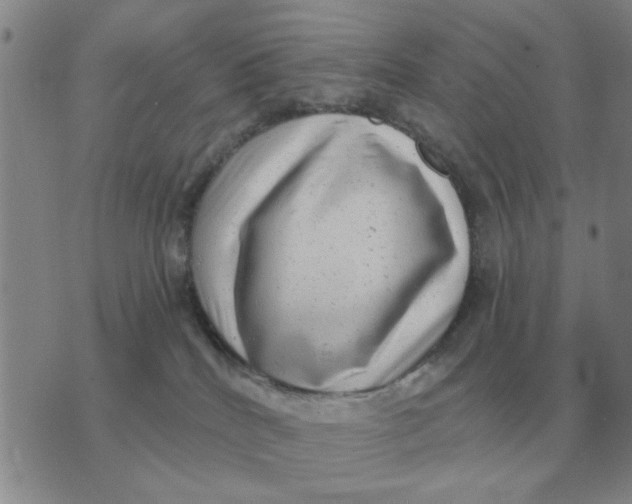 X0000074340040200609152133