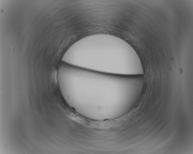 X0000074340041200609152133