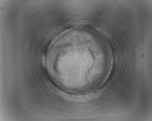 X0000074340042200609152133