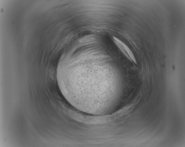 X0000074340044200609152133