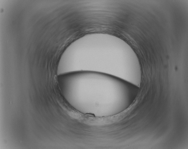 X0000074340045200609152133