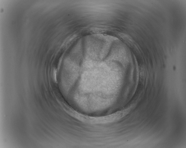 X0000074340046200609152133