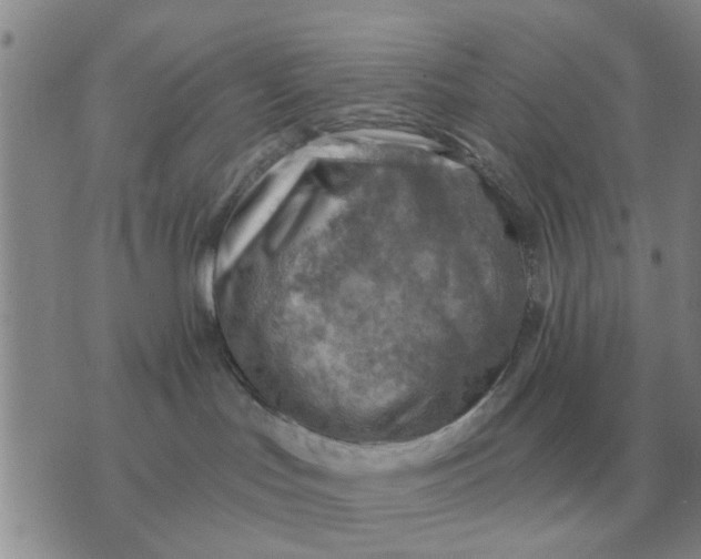 X0000074340047200609152133