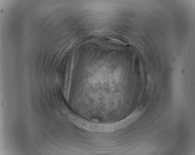 X0000074340048200609152133