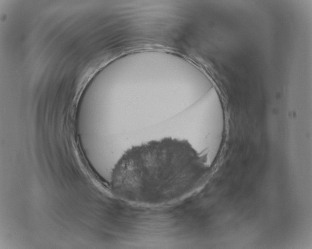 X0000074340049200609152132