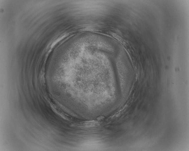 X0000074340050200609152132