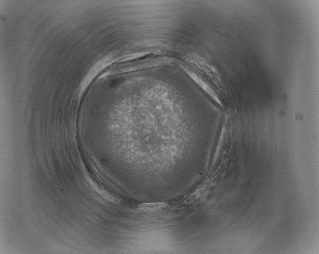 X0000074340051200609152132