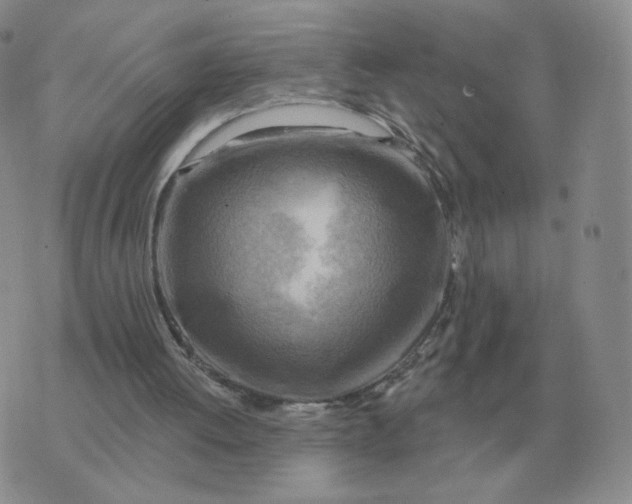 X0000074340052200609152132