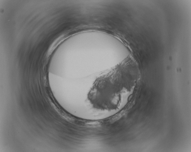 X0000074340053200609152132