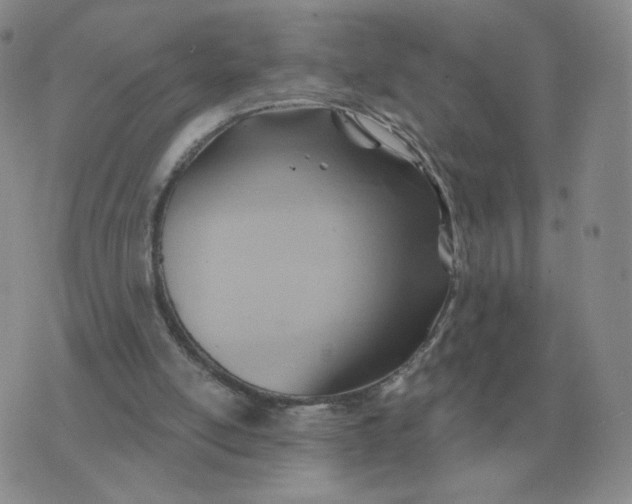 X0000074340054200609152132