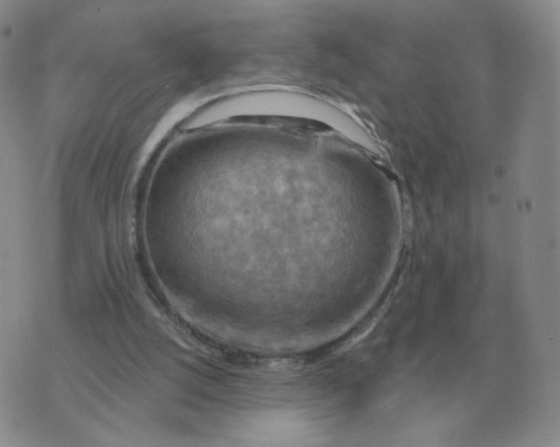 X0000074340056200609152132