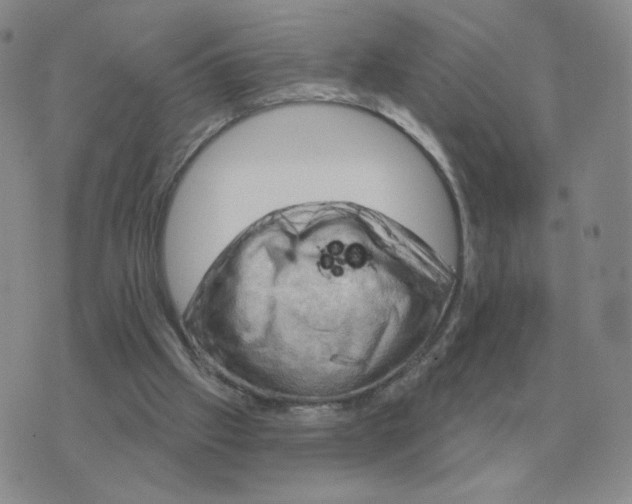 X0000074340057200609152132