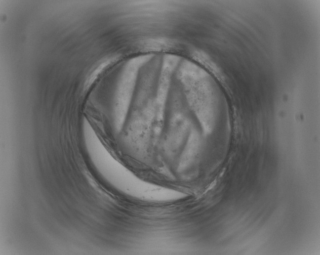 X0000074340058200609152132