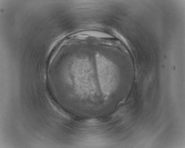 X0000074340059200609152132